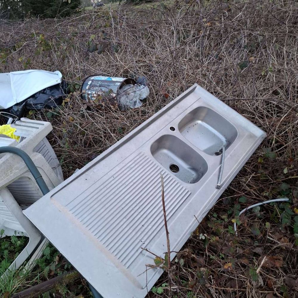 Haies Cornebarrieu en face Airlog Airbus