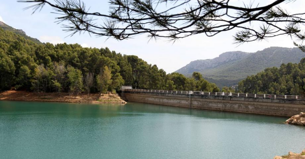 Nettoyage des berges du lac du Revest avec l'AAPPMA et Veolia