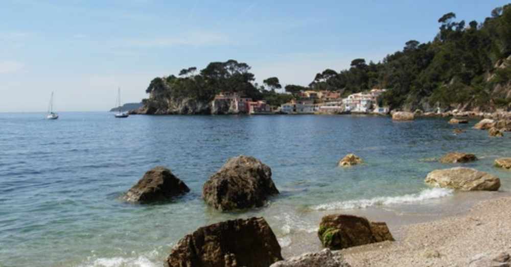 14ème collecte de déchets avec la ville de Toulon - Anse Méjean