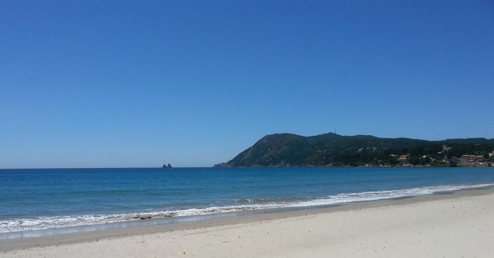 Ramassage déchets sauvages aux Sablettes SOS POSIDONIE