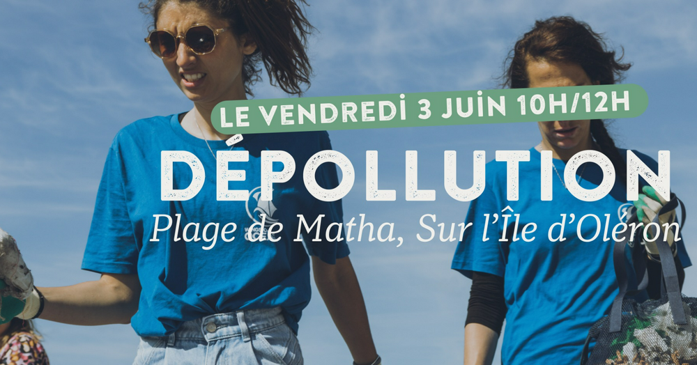 Dépollution - Île d'Oléron