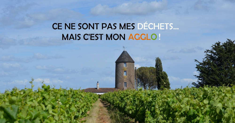 MARCHE DE RAMASSAGE DE DECHETS n°6