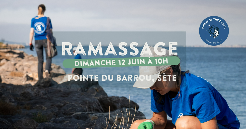 Ramassage de déchets