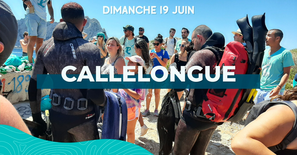 Dépollution de Callelongue (ENCORE)