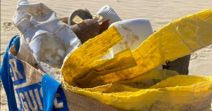 Dernier Ramassage de Déchets de la saison