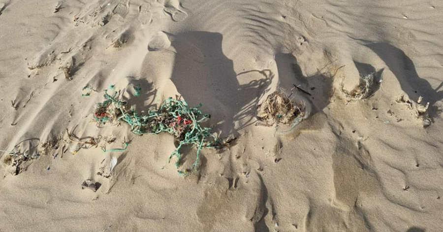Action Ramassage des déchets sur la plage
