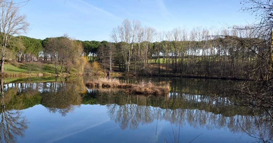 Eco'marche #2 - ALBI